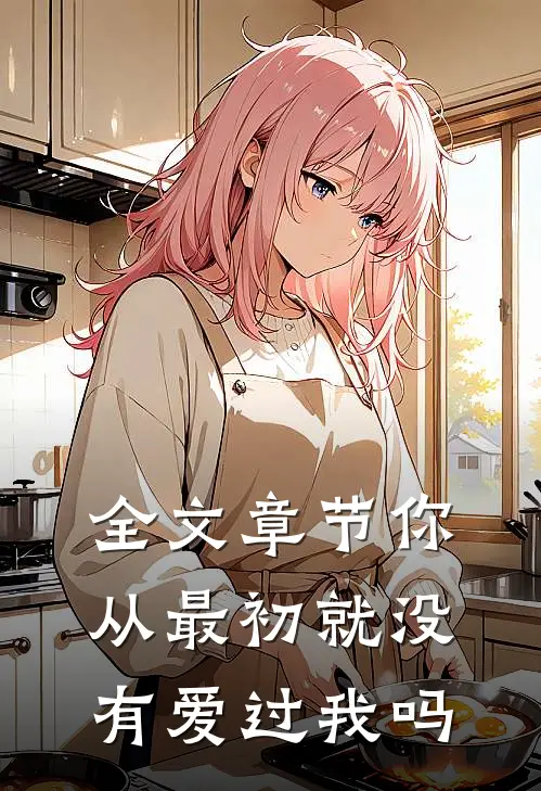 全文章节你从最初就没有爱过我吗