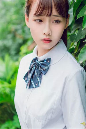 我以明月宴群山良心推荐