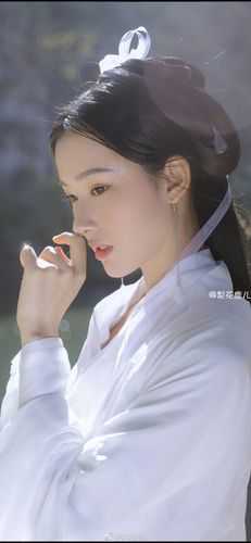 强者为赢：我就是权力中心 全集