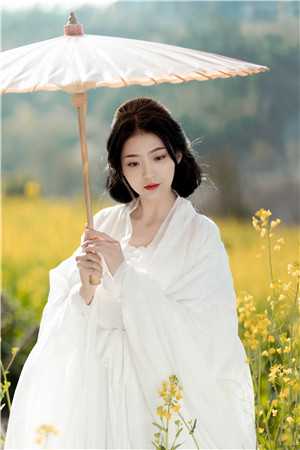 被师尊刺死后，我修无情道成神全文免费