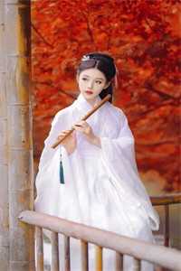 精品选集被师尊刺死后，我修无情道成神