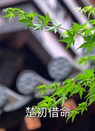重生后，我报复了欺负女儿的恶徒全篇