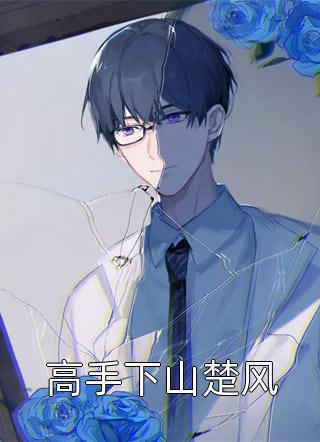 疯狂占有：只想引诱她动心前言+后续
