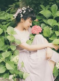 短篇小说改修无情道后，师兄们哭着求原谅