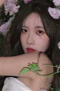 夫人她又狠又飒畅销书籍