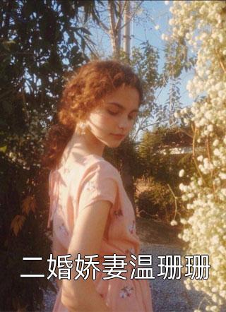 官嫂长篇小说
