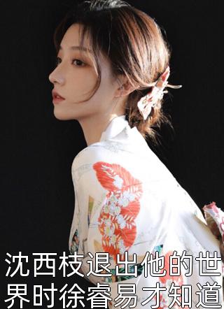 强者为赢：我就是权力中心结局+番外
