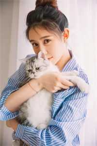 优质全文张三终结者