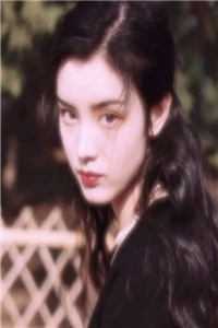 暗香浮动月黄昏顾辞狄人小说