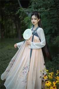 失落玫瑰无删减+无广告