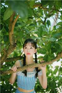 我和我的娃娃亲未婚夫白芷贺钧无删减+无广告