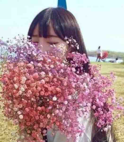 系统：算命后，我修为暴涨全集