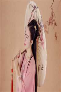 苏沐婵景明轩主角小说精选篇章阅读