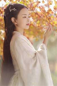 全本小说叶青芷谢晋免费