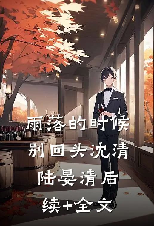 雨落的时候别回头沈清陆晏清后续+全文