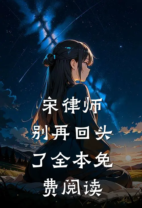 宋律师,别再回头了全本免费阅读
