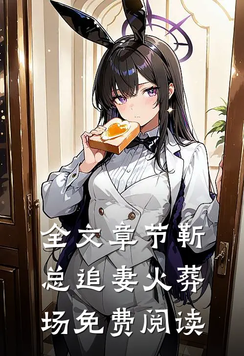 全文章节靳总追妻火葬场免费阅读