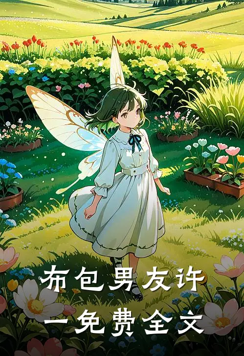 布包男友许一免费全文