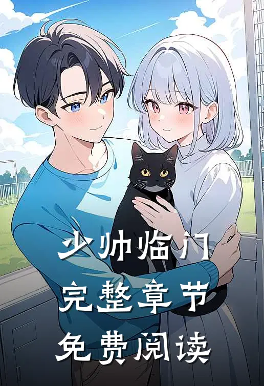 少帅临门完整章节免费阅读