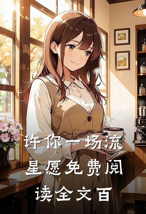 许你一场流星愿免费阅读全文百