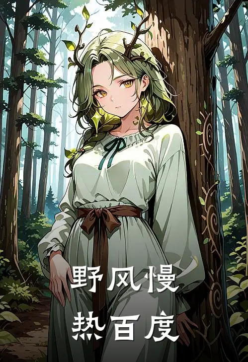 野风慢热百度