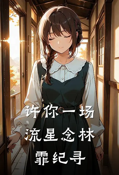 许你一场流星念林霏纪寻