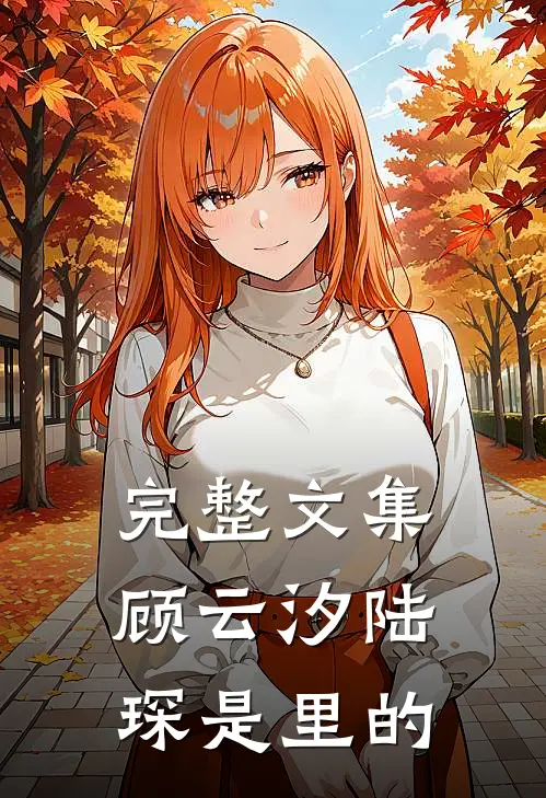 完整文集顾云汐陆琛是里的
