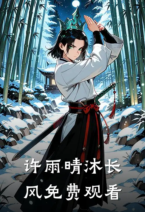 许雨晴沐长风免费观看