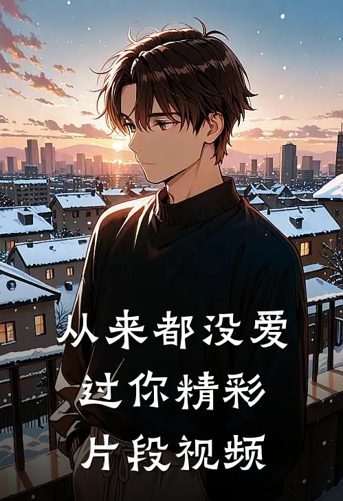 从来都没爱过你精彩片段视频