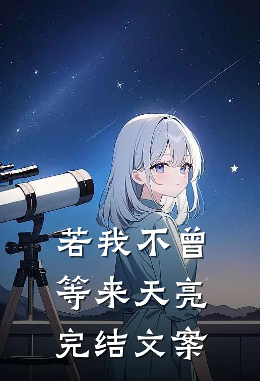 若我不曾等来天亮完结文案