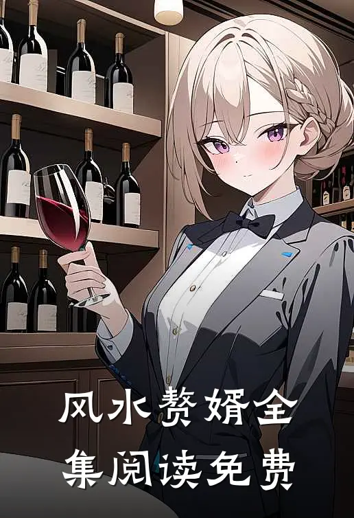 风水赘婿全集阅读免费
