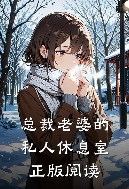 总裁老婆的私人休息室正版阅读