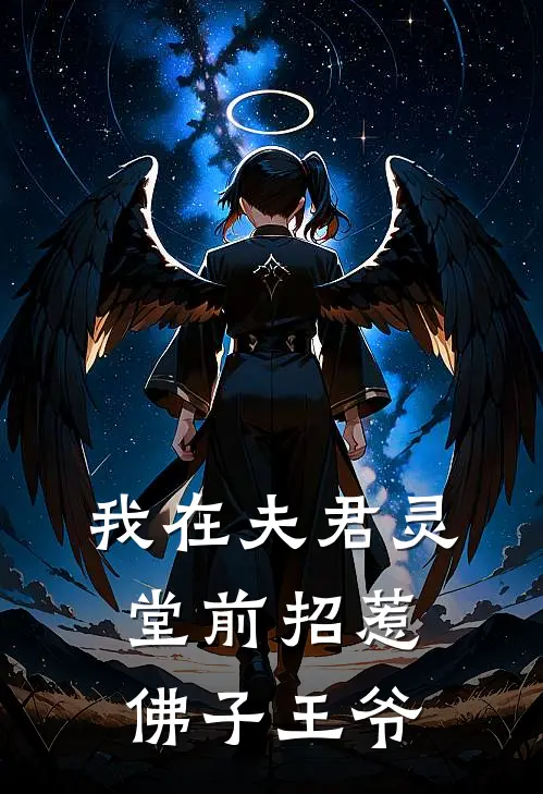 我在夫君灵堂前招惹佛子王爷