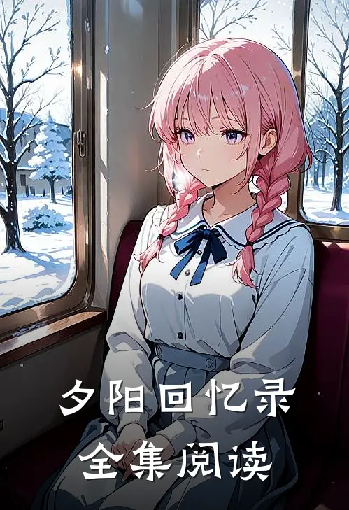 夕阳回忆录全集阅读