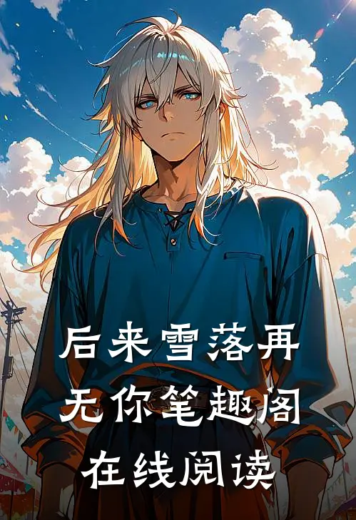 后来雪落再无你笔趣阁在线阅读