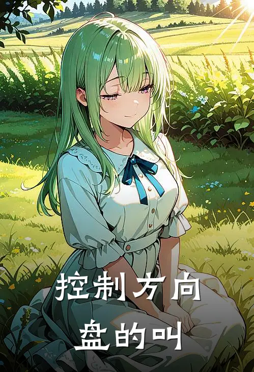 控制方向盘的叫