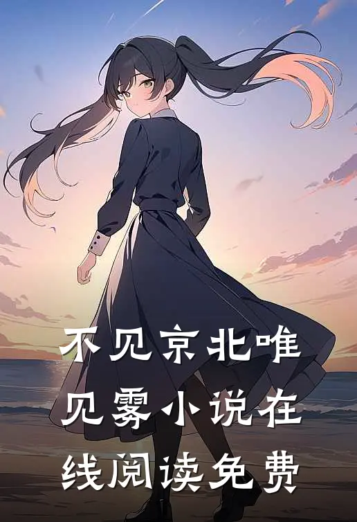 不见京北唯见雾小说在线阅读免费