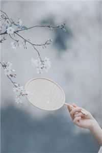 难逃！时书记他蓄谋已久！小说