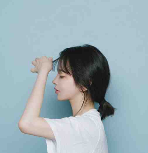 扶摇鹤南飞试读