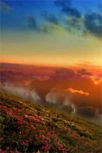 情思锁于深秋巷周延川许知意全局