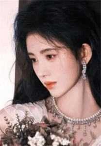 暮雪已染故人衣火爆小说