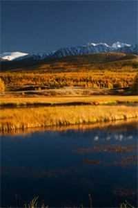 北城旧梦扰清风温斯璟向晚茵无删减+无广告