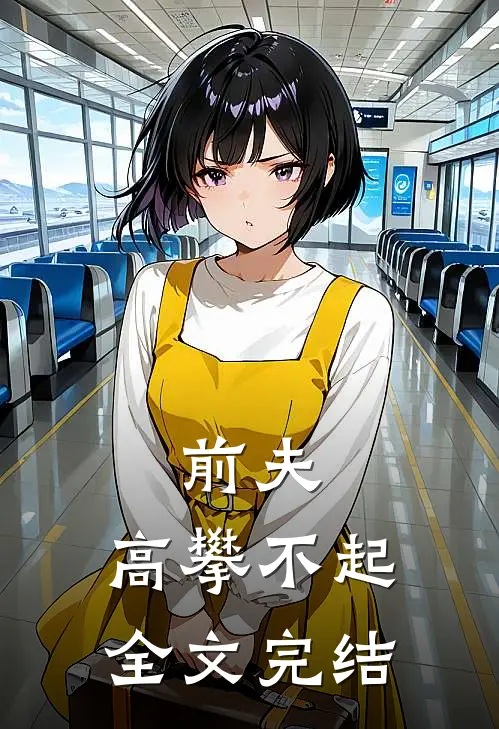 前夫 ，高攀不起全文完结