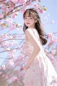 悲风吹泪过流年全文免费