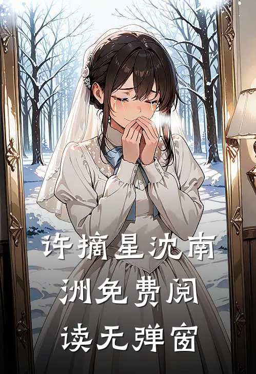 许摘星沈南洲免费阅读无弹窗