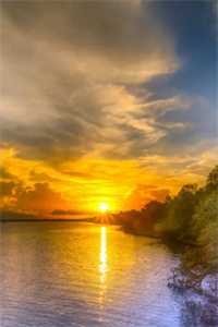 觉醒狩猎外挂，我在黑市成传说前文+