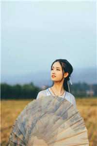 未寄白头雪满枝全文阅读最新