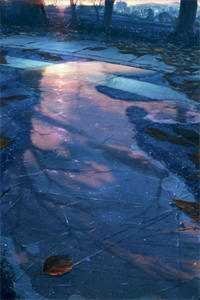 她曾把光藏入怀沈栀瑶秦晏骁小说结局