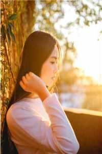 梨花落尽月又西的小说