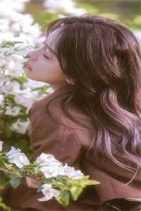 付一阙别离南挽谢砚池番外